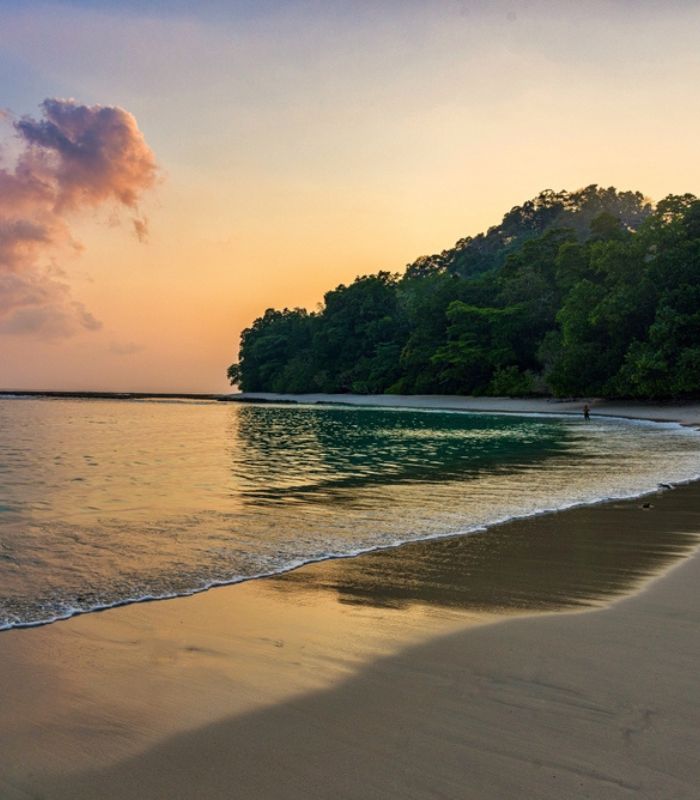 Untitled design (14)