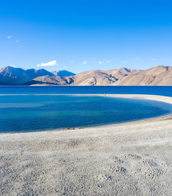 Untitled design (18)