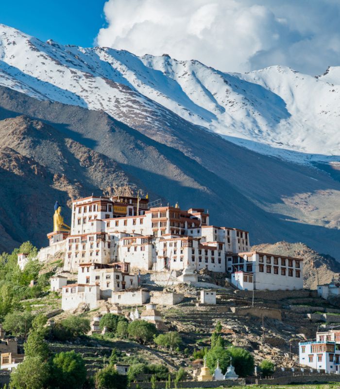 Untitled design (19)