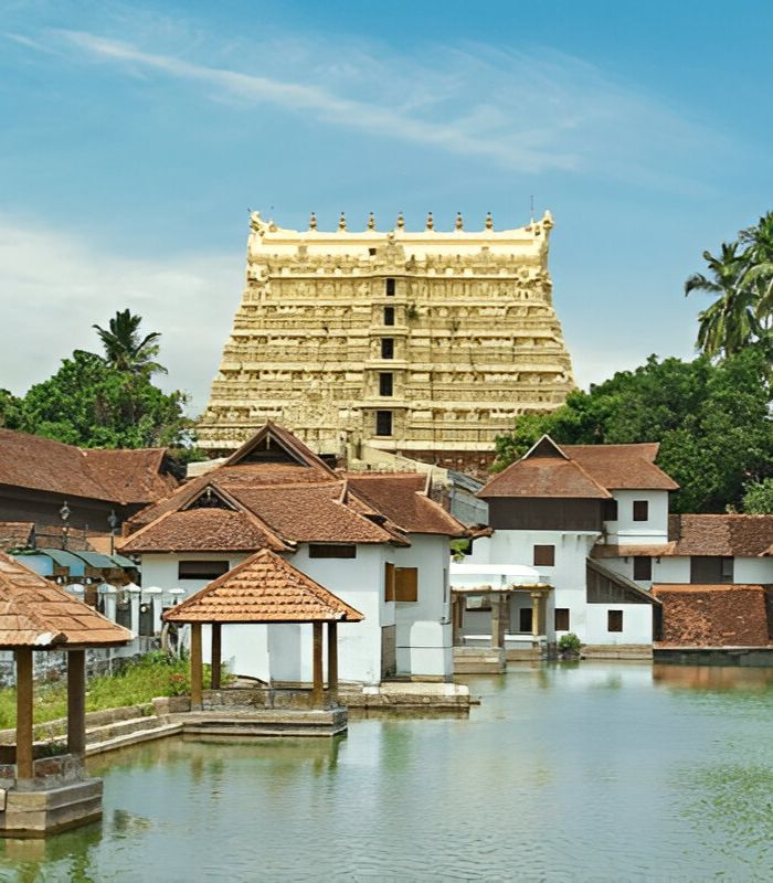 Untitled design (20)