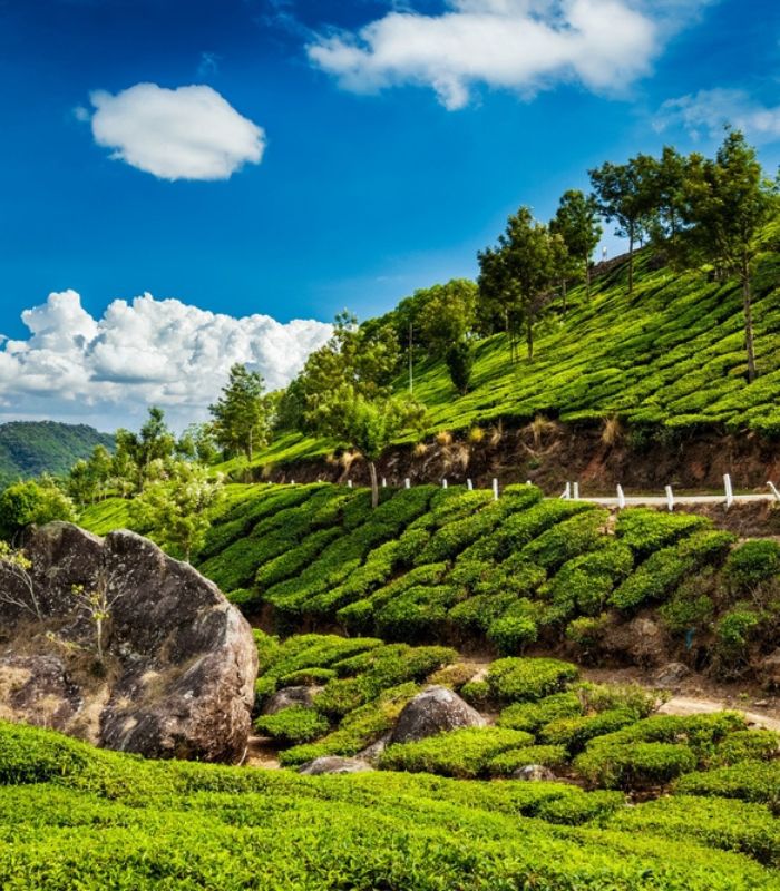 Untitled design (21)