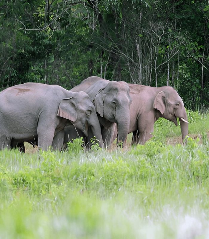 Untitled design (22)