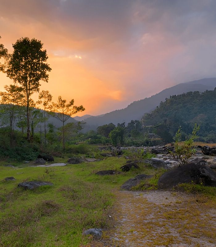 Untitled design (23)