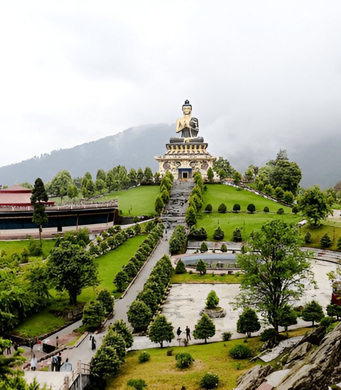 Untitled design (24)