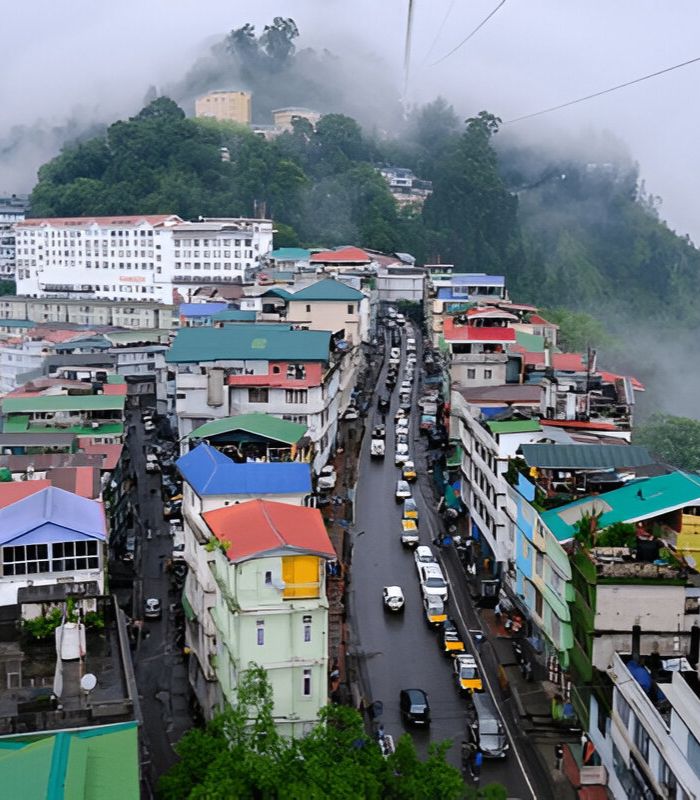 Untitled design (25)