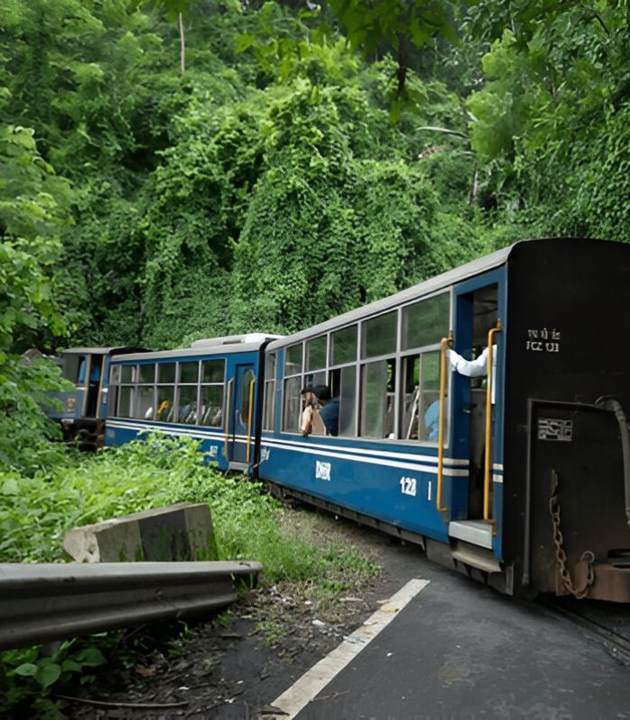 Untitled design (26)