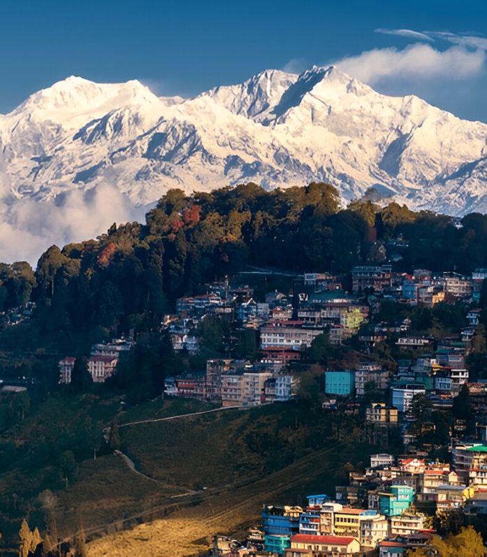 Untitled design (27)